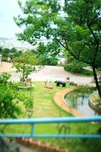 メリーゴーランド* 2008/08/04 00:06:13