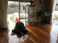 床に願いを・・・ 2008/02/29 19:04:01