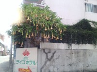 2012年05月16日