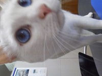 久々ぶんちん 2012/05/07 17:12:38