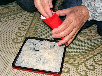 正月祈願(2007年)