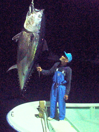 マグロの予測は・・・