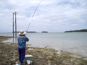 ここでも釣れる?