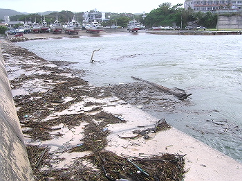 台風4号で・・・#01