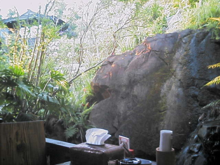 大家(うふやー)