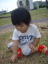 ふん。 2008/09/23 07:18:00