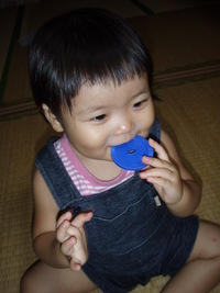 ロバ？ 2008/10/13 00:20:10