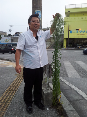 雑草すごっ!! 雑草すごっ!!