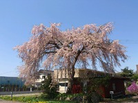 2012年05月07日