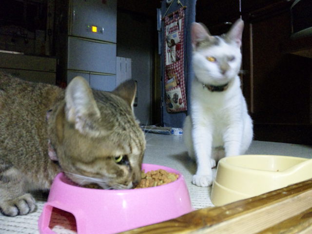 ももにとって