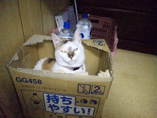 雨ですね~