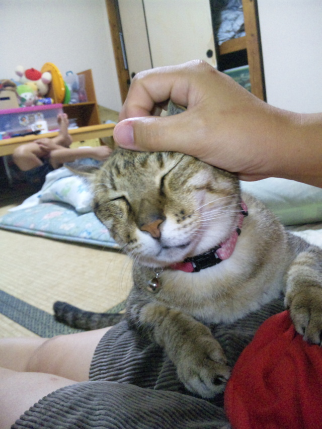 遠慮しすぎの父