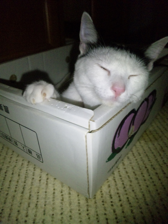 お口に注目!