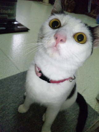 ぬん!!