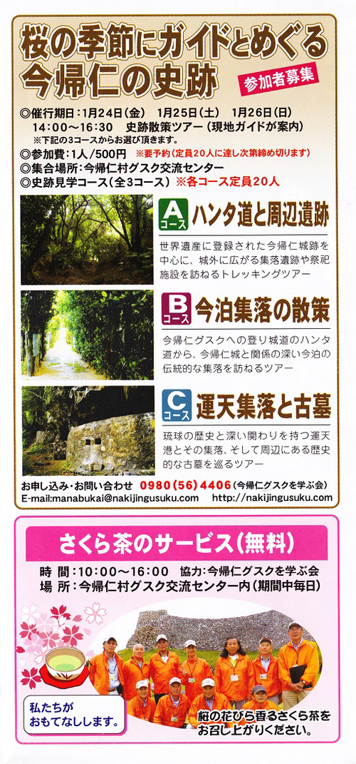 今帰仁グスク桜まつり 始まりました