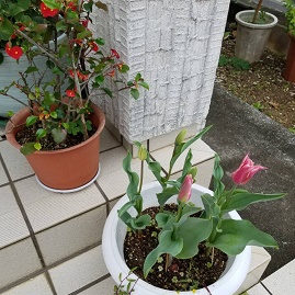今、どのあたり? 今、どのあたり?
