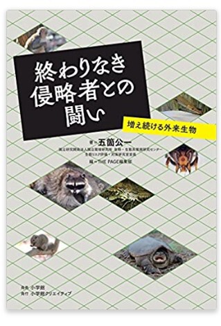 11/13(日)外来種シンポジウムのお知らせ~ハイブリッド式~ 11/13(日)外来種シンポジウムのお知らせ~ハイブリッド式~