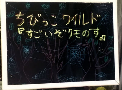 お試し ちびっこワイルド「すごいぞクモの巣」 お試し ちびっこワイルド「すごいぞクモの巣」
