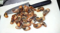 潮干狩り