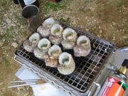 古宇利島キャンプ~報告①~