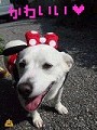まちゃみ