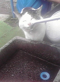 喉を潤そう 2012/05/06 08:00:00