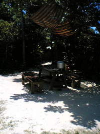 影！ 2008/05/24 11:09:30