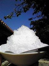 暑いので 2008/06/17 14:12:06