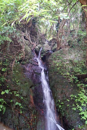 湧水の滝