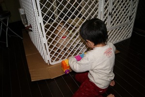 お兄ちゃん気分