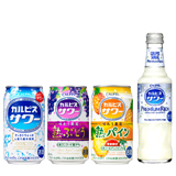 手作りトルティーヤで巻き巻き