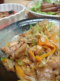 鶏肉とネギの中華炒め