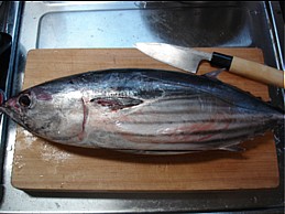 鰹のたたき