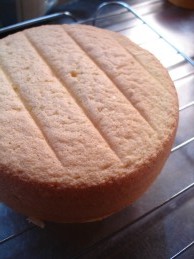 ひなまつりケーキ★いちごのショートケーキ