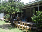 ミルクティシフォン他★ひばり屋スイーツ in おうち市