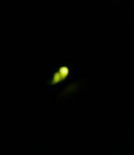 友達から 2008/06/17 21:09:49