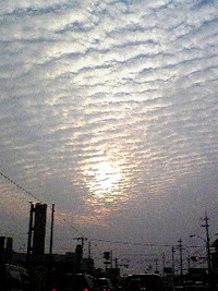 ウロコ雲 2008/01/09 23:36:56