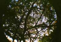 ・・・・ 2008/01/29 14:47:19