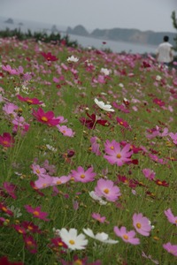 やんばる紀行。。。♪その１ 2008/05/12 12:12:01