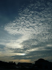 南風♪ 2008/06/02 23:30:42
