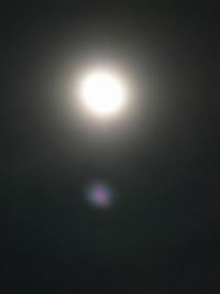 十五夜？ 2008/06/19 08:49:43
