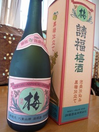 夏の収穫物♪ 2008/07/02 01:08:15