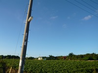 Fare　Well！！ 2008/08/15 13:33:29