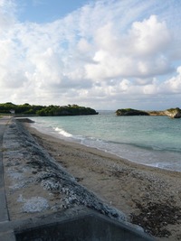 朝時間。。。 2008/09/10 08:44:41