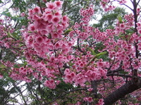 久々の休日☆ 2006/02/05 22:35:00
