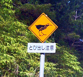 とび出し注意!