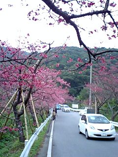 桜^^