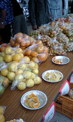 恩納村産業まつり^^