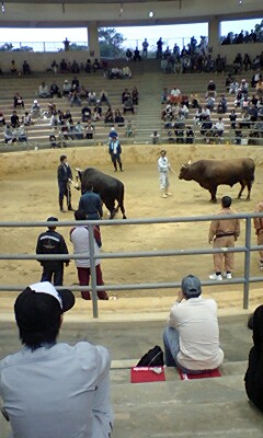 闘牛大会へ