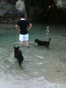 犬たちと海へ